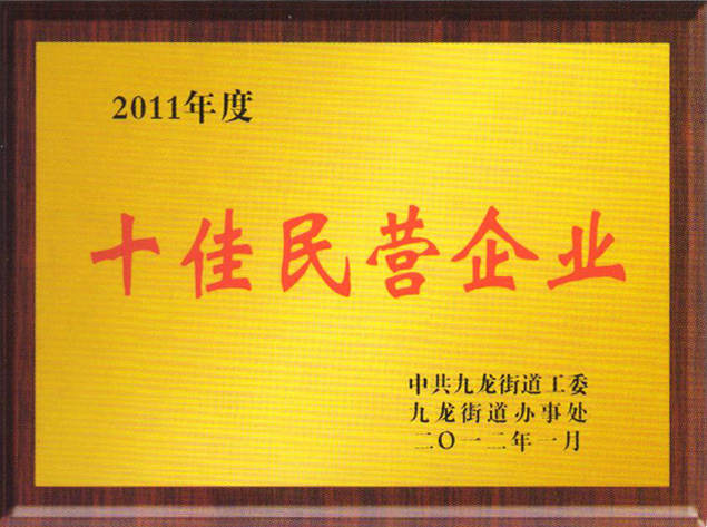 Top 10 Private Enterprises in 2011