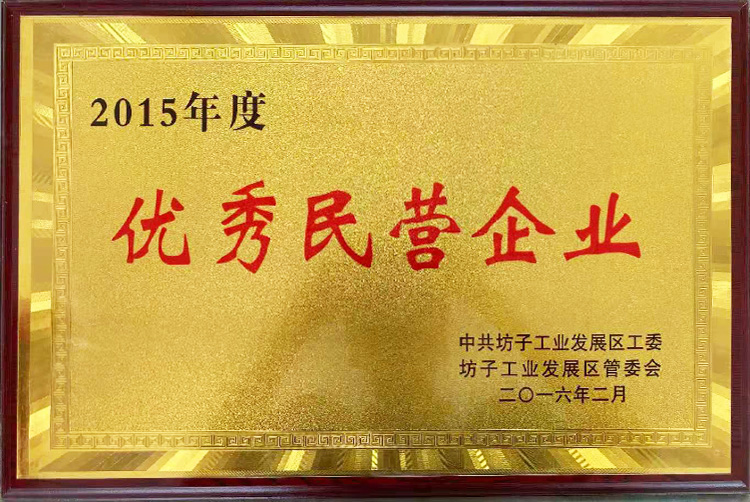 Outstanding Private Enterprise in 2015