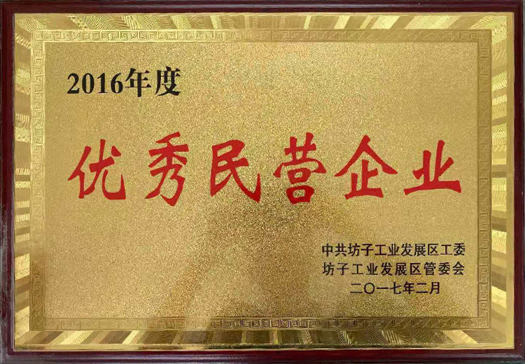 Outstanding Private Enterprise in 2016